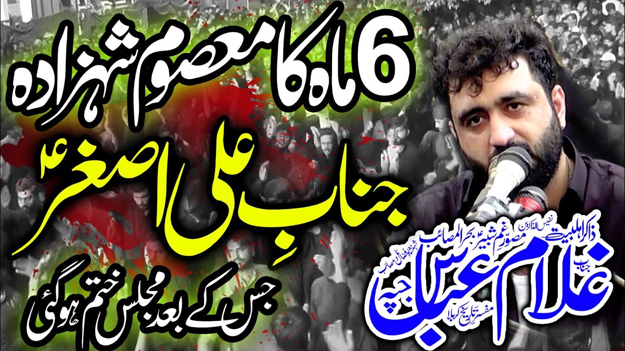 Shahadat Shehzada Ali Asghar  a s  Zakir Ghulam Abbas Jappah New Majlis 2024