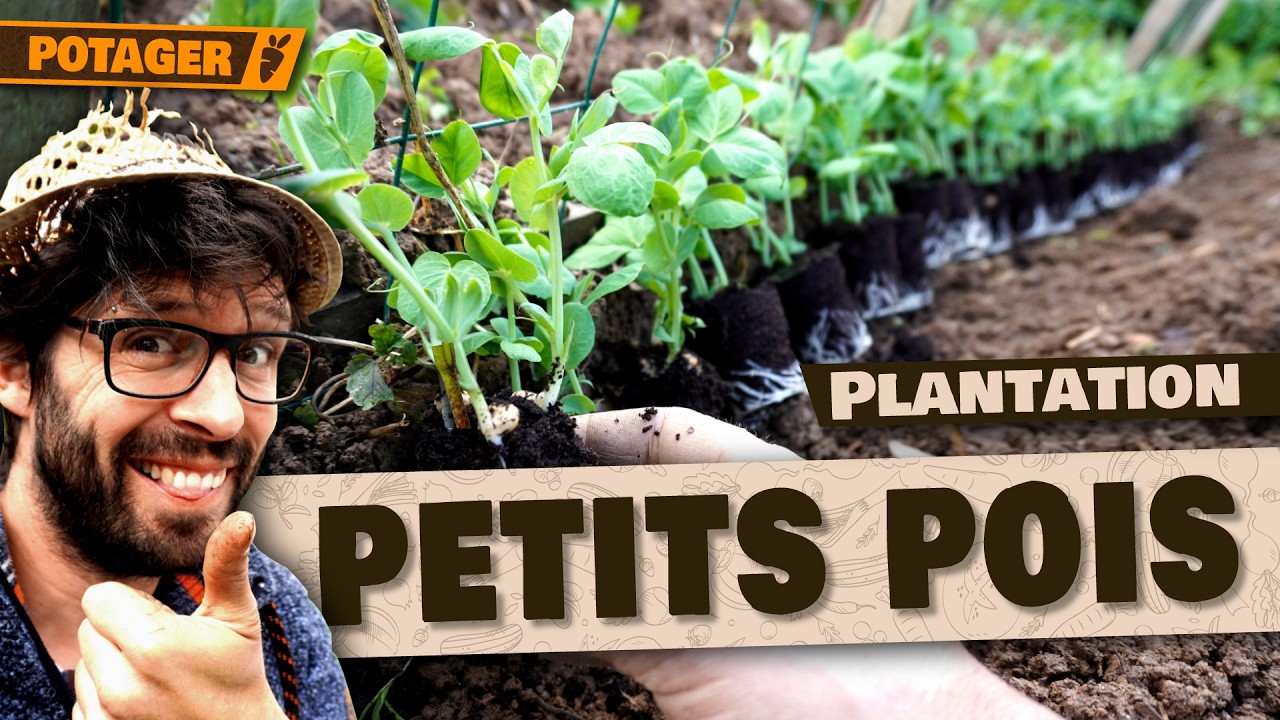 🌱 Potager Mars Semaine 3 : Les Semis & Plantations &agrave; ne PAS rater + Mini Mottes! 🥬