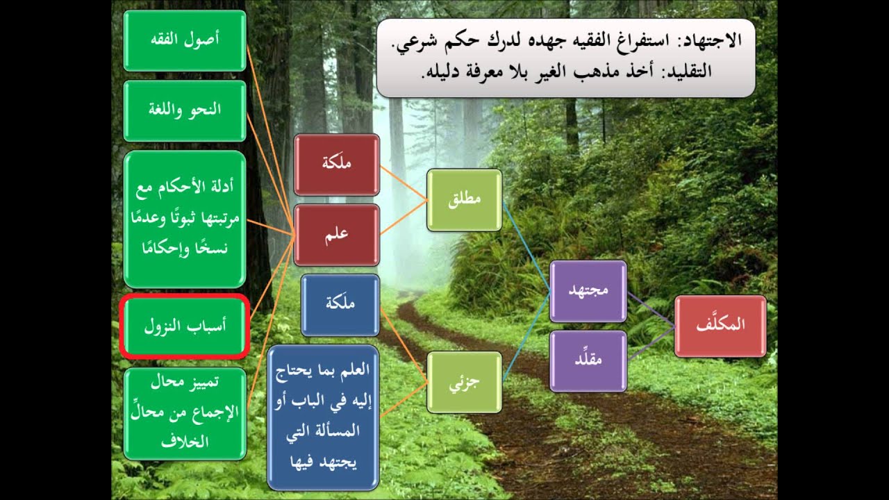 الطريق إلى علم أصول الفقه28 - الاجتهاد والتقليد والتعارض والترجيح - عامر بهجت