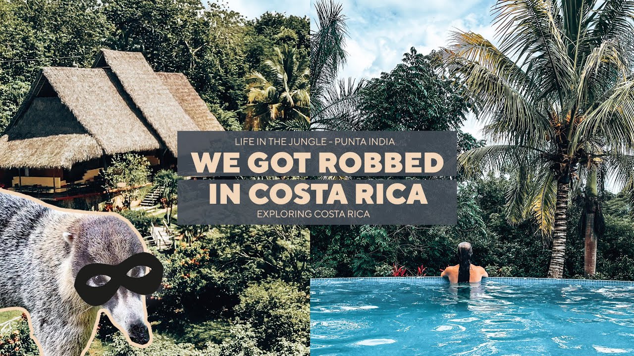 A week in Ostional + Playa Guiones Costa Rica | The cutest robber, surfing and working |  Ep20