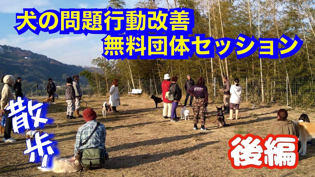 【散歩トレーニング】施設団体セッション（後編）2023年12月30日 @pochipapa