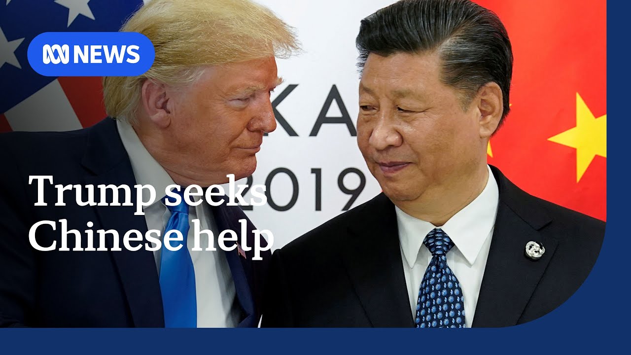Trump pleads with Xi to pressure Russia to end Ukraine war | ABC NEWS