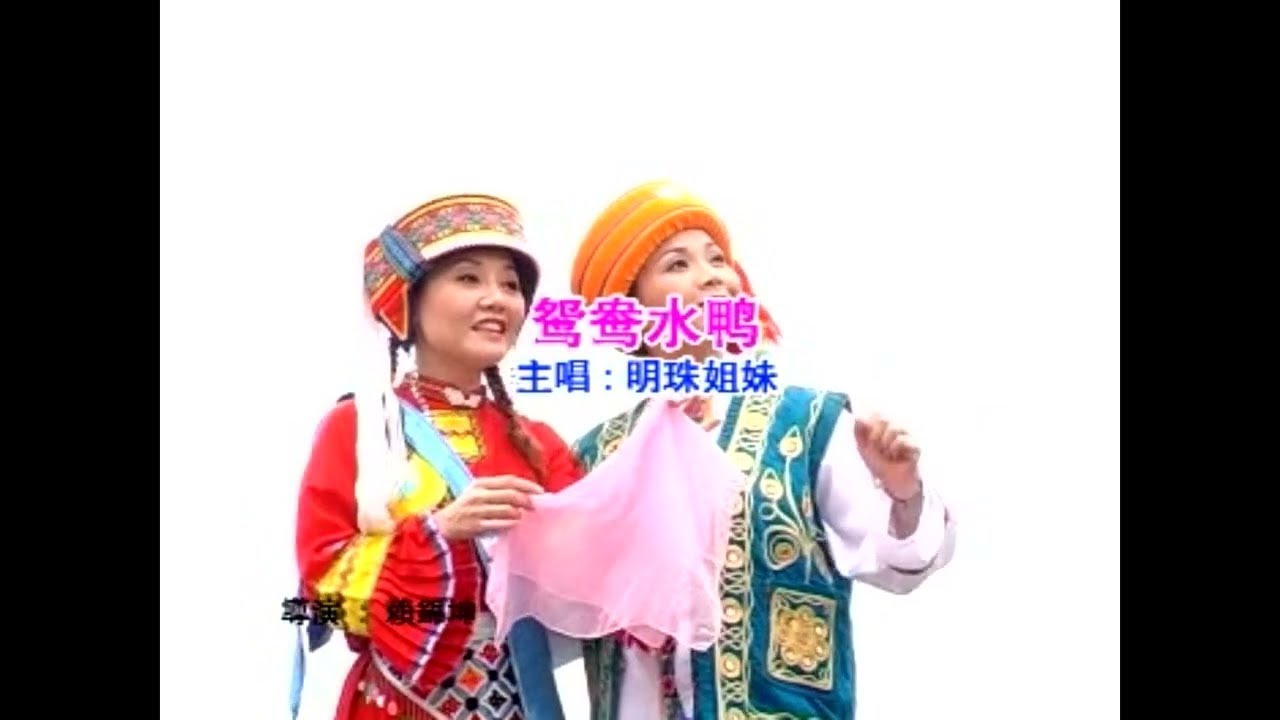 明珠姐妹 -【鸳鸯水鸭】 #福建金曲#