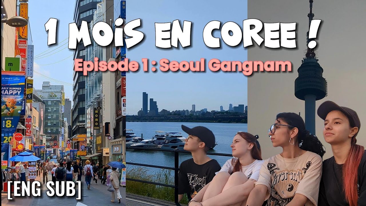 VLOG COREE DU SUD / GANGNAM (Namsan Tower, Han river, Myeongdong) partie 1/5 !!