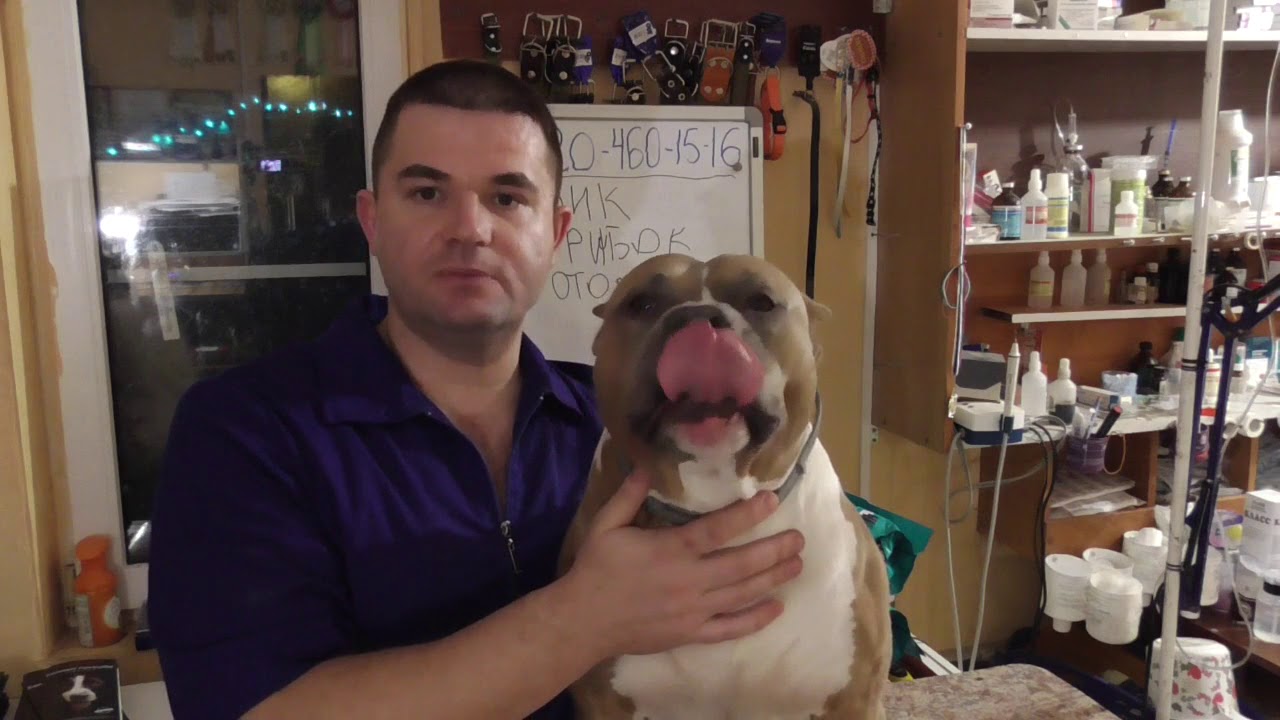 ГОЛОД НЕ ТЕТКА что делать если не ест корм?