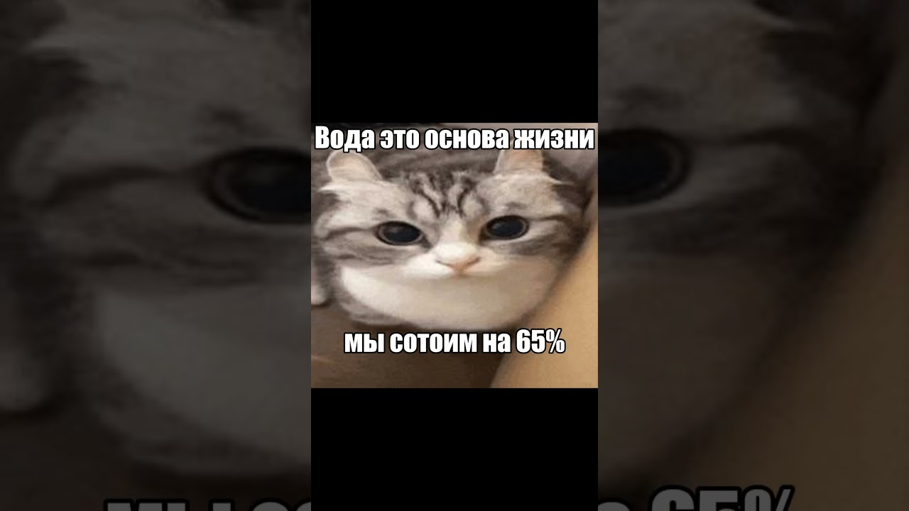 вода | идея от @Nynife | заходи к нам в тгк по шапке профиля |  #komaru #necoarc