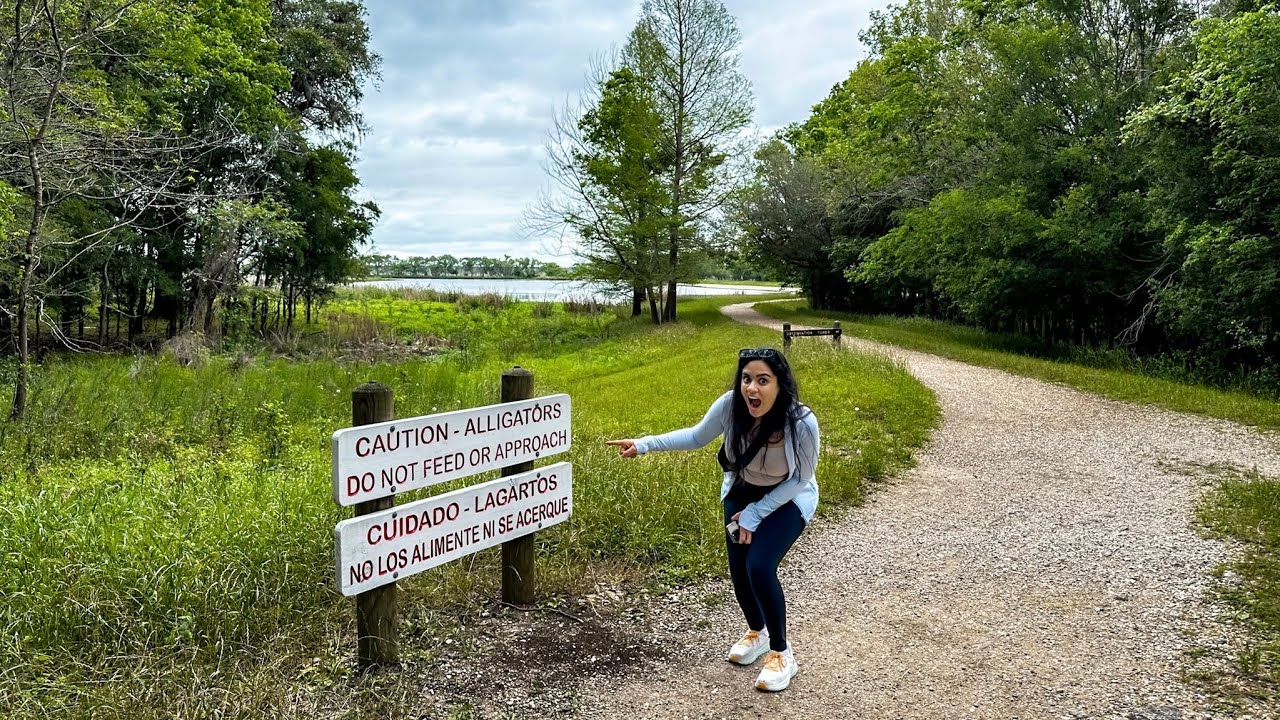 21 Alligators! Our Wild Brazos Bend Adventure