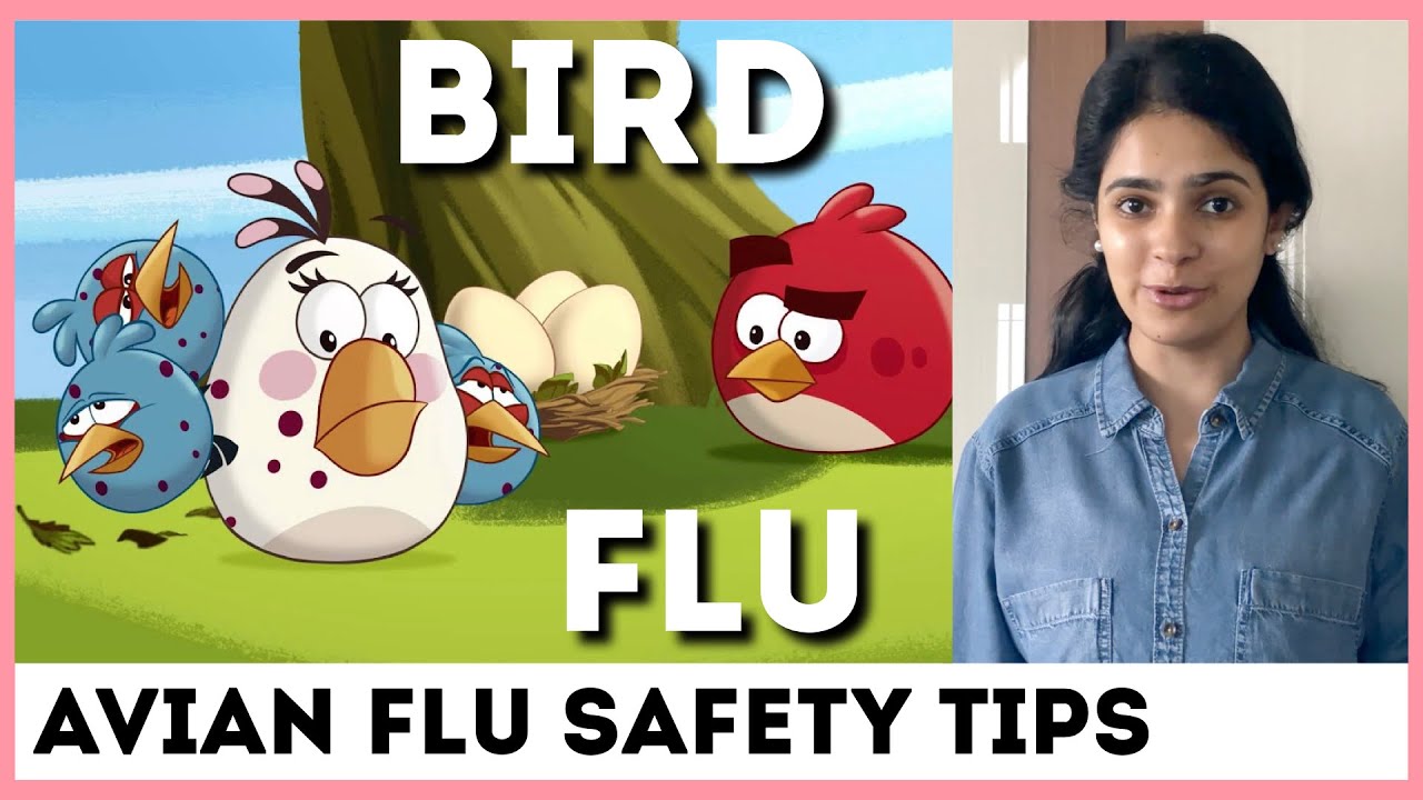 Bird Flu Safety | 4 Simple Tips
