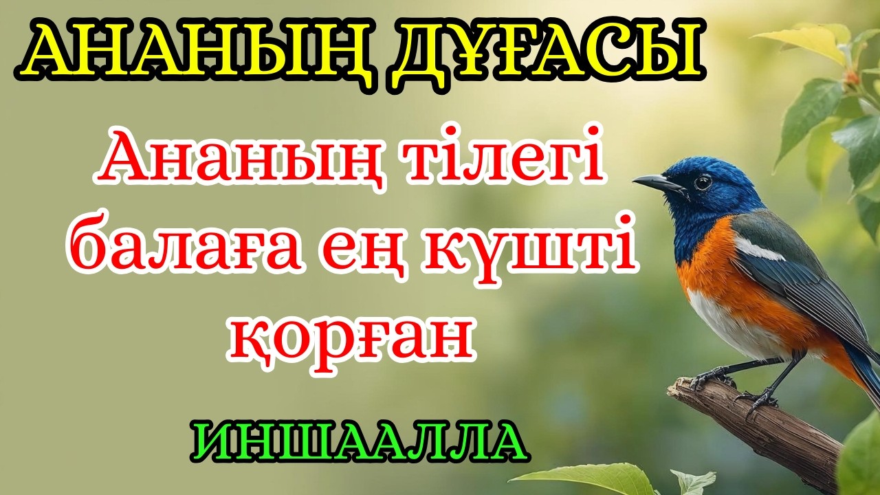 АНАНЫҢ ДҰҒАСЫ – БАЛАҢ АМАН БОЛСЫН ДЕСЕҢ ТЫҢДА