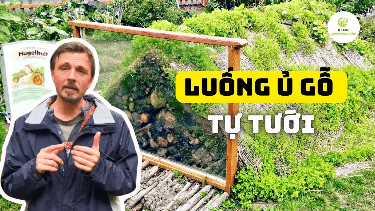 Xây Dựng Luống Hugelkultur Cho Vườn Rừng Bền Vững – Kết Quả Bất Ngờ Sau Vài Tháng 🌱🌳