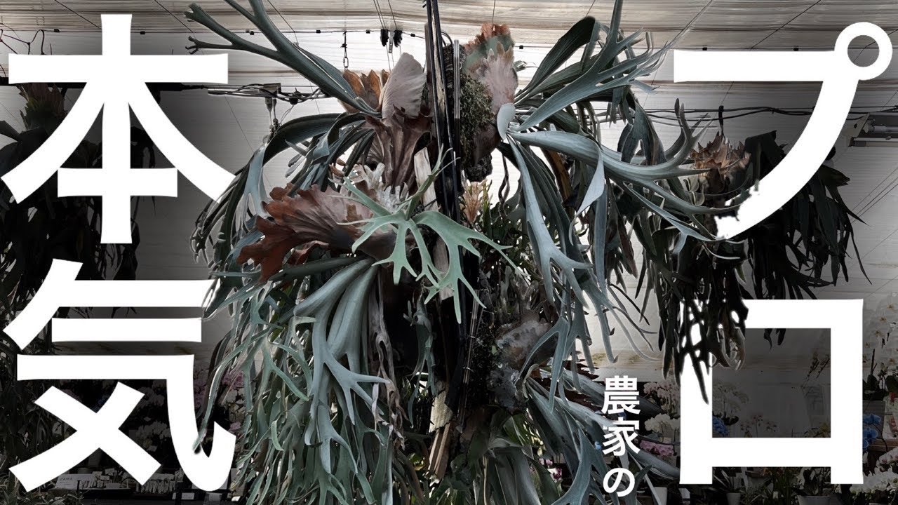 【衝撃】ガチ農家には