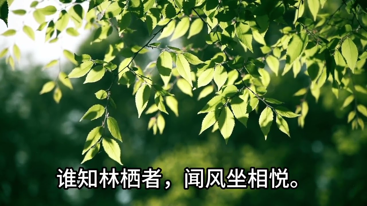 张九龄的《感遇》