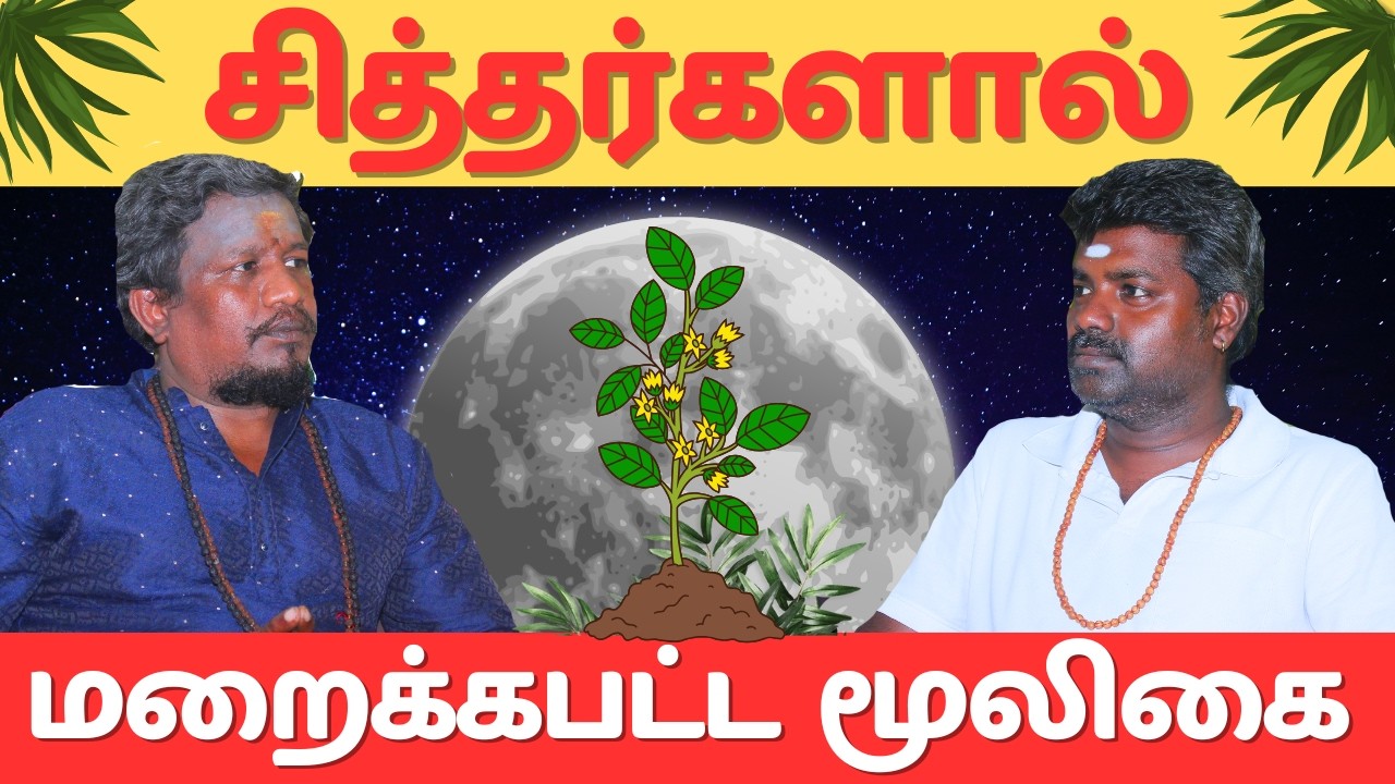 சித்தர்களால் மறைக்கப்பட்ட மூலிகை |#education #tamil #astrology #trending #ritual 