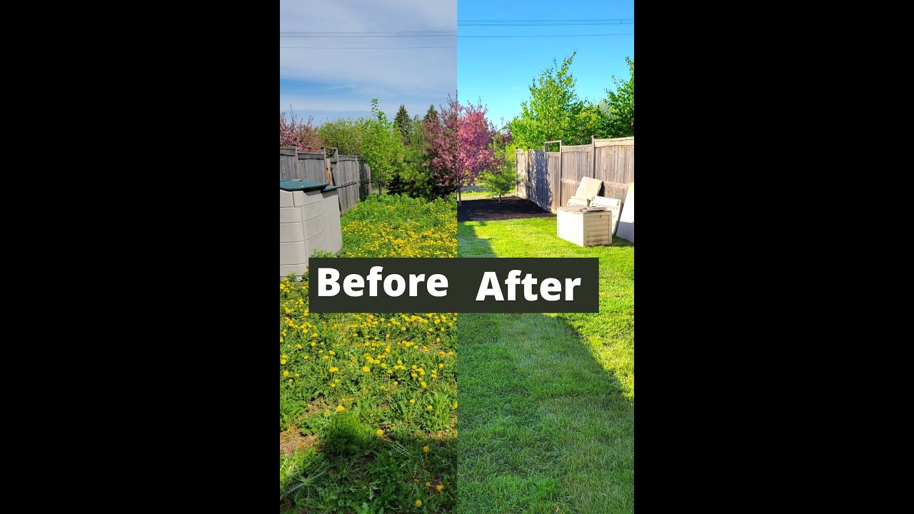 three important steps to installing sod!