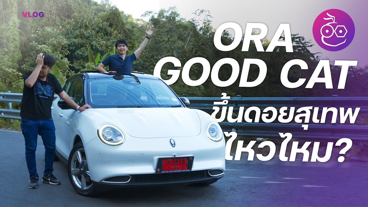 ออก Ora Good Cat วันแรก ขึ้นดอยสุเทพเลย รอดไม่รอด ดูกัน (Vlog) | iMoD