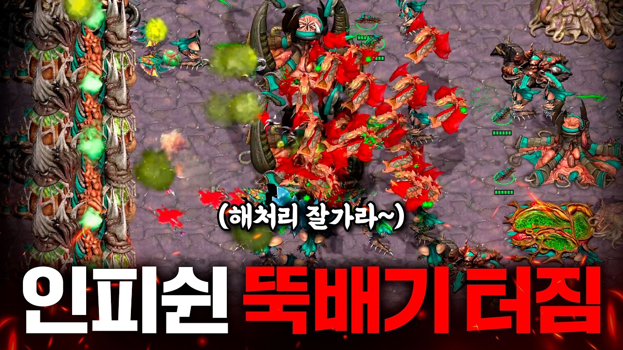 인피쉰 뚝배기 터지고, 팀원은 나가고, 