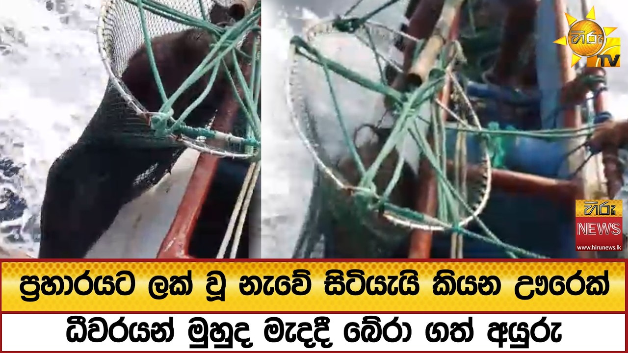 ප්‍රහාරයට ලක් වූ නැවේ සිටියැයි කියන ඌරෙක් ධීවරයන් මුහුද මැදදී බේරා ගත් අයුරු - Hiru News