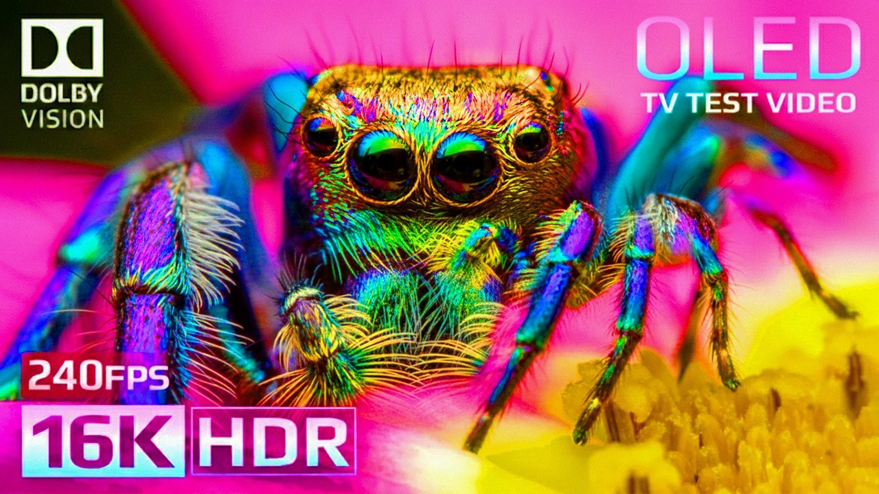 Crystal Detail 16K HDR 240fps Dolby Vision Masterpiece (4K / 8K TV)