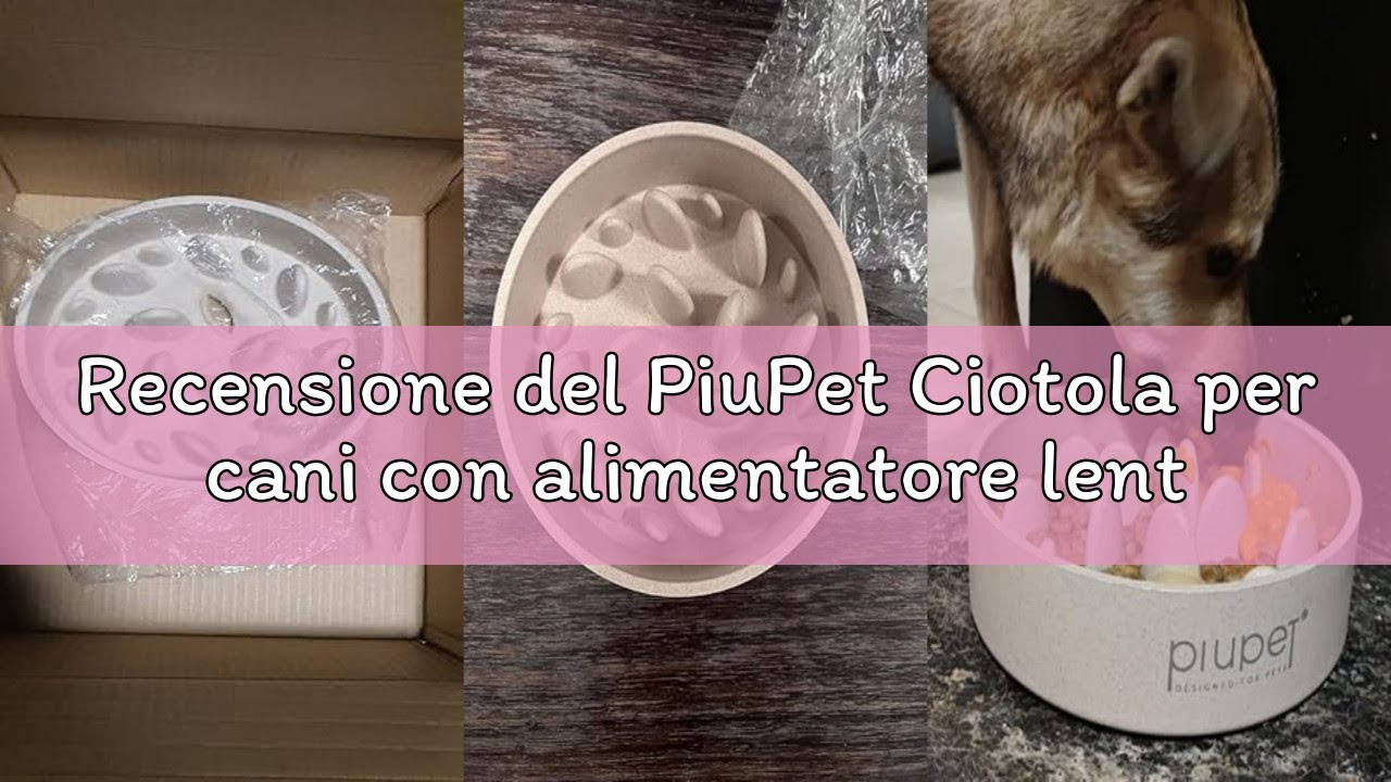 Recensione del PiuPet Ciotola per cani con alimentatore lento I 1,4L I lavabile in lavastoviglie I g