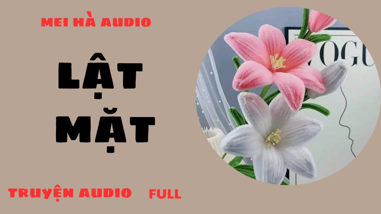 LẬT MẶT  MEI HÀ AUDIO - NGHE TRUYỆN HAY MỖI NGÀY