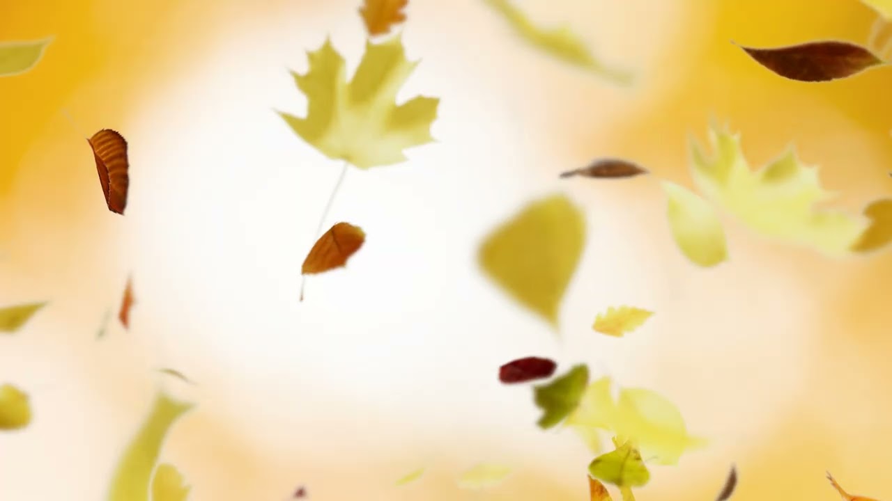 10 Hours of Falling Autumn Leaves (Ultimate Indoor Autumn Simulator)