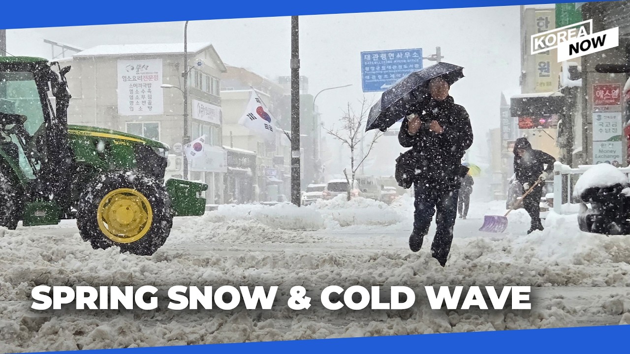 Spring snow hitting Gangwon again — cold wave to grip Korea