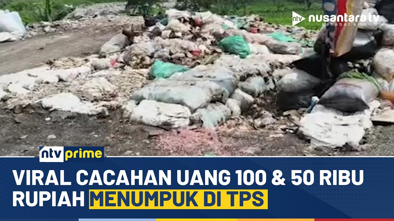 [LIVE] Viral Cacahan Uang Rp100 Ribu & Rp50 Ribu Rupiah Menumpuk di TPS | NTV PRIME