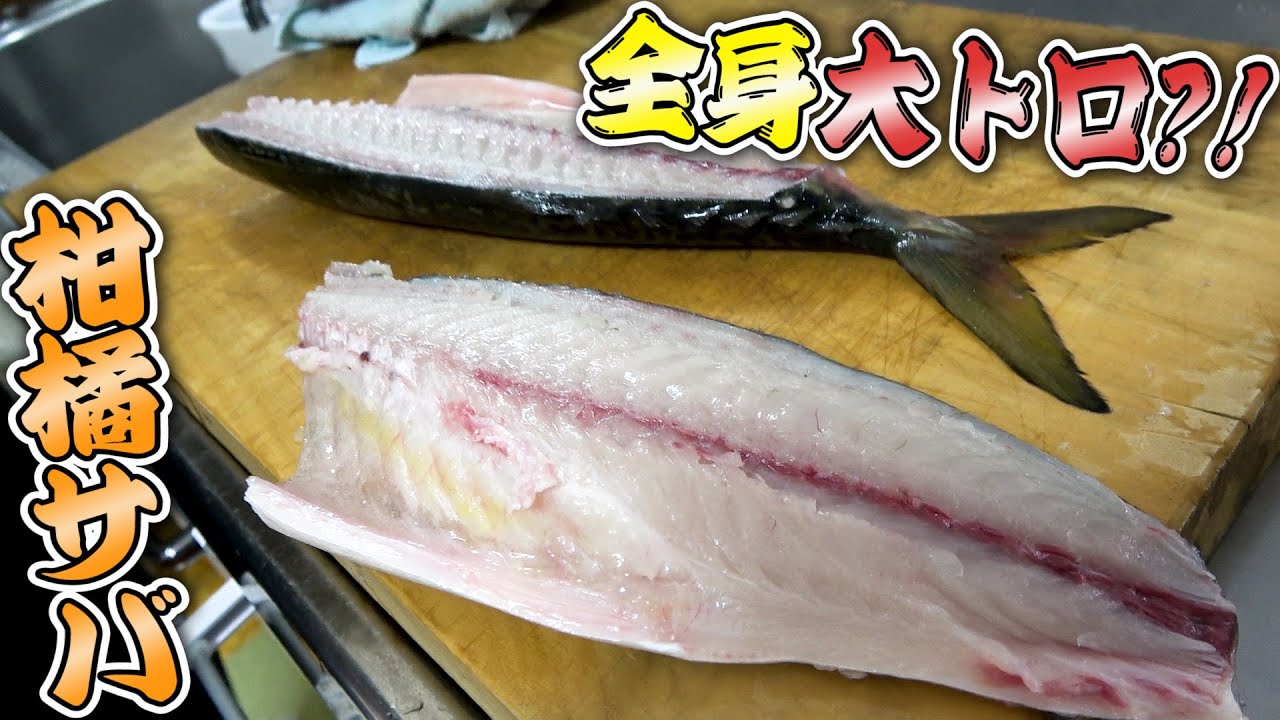 脂で真っ白！全身が大トロ級！愛媛産の『みかんサバ』でみんな幸せ！！！