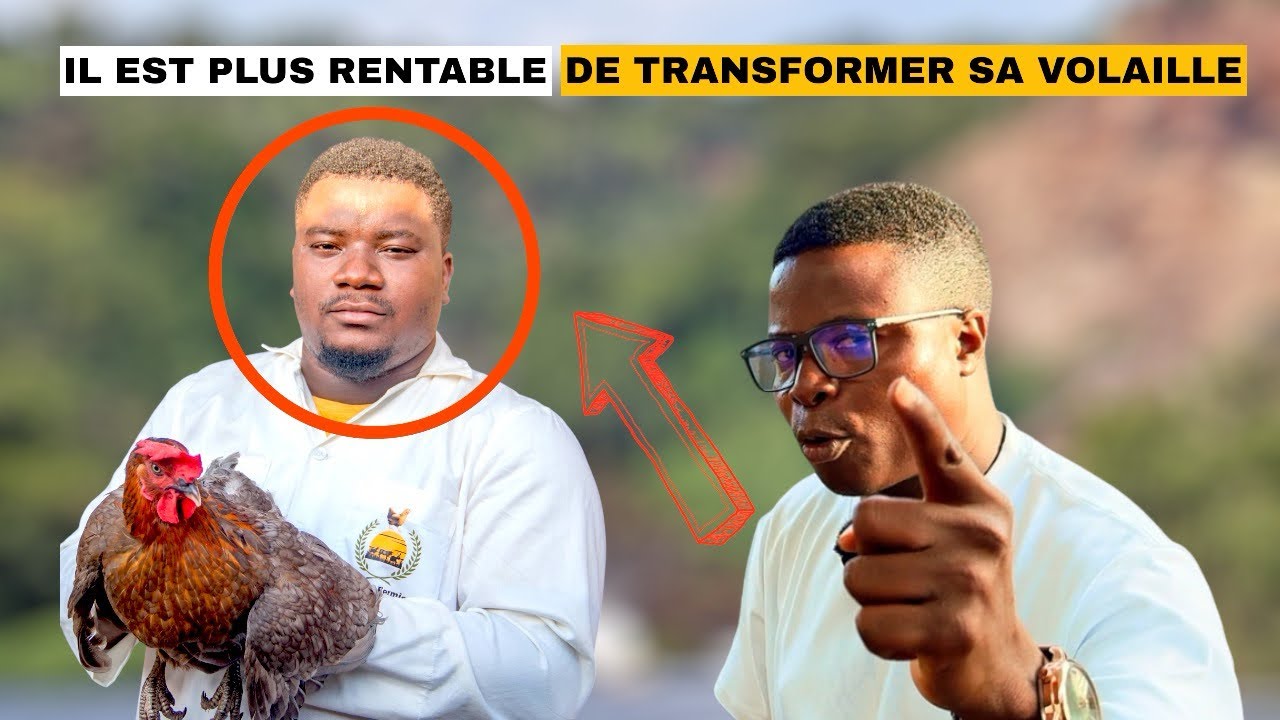 Bénin: Vendre sa volaille transformée est de 2 à 10 fois plus rentable que le brute.