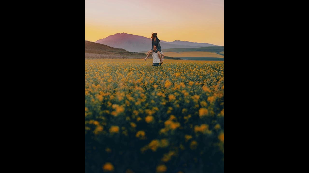 Adam Selzer -  Everything For You - AAM MUSIC