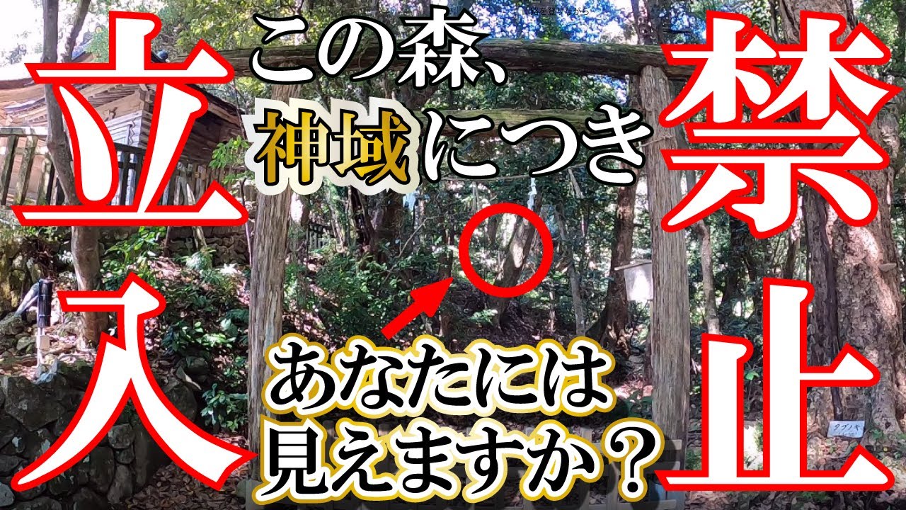【神域“入らずの森”】能登國一宮 氣多大社｜石川県 能登半島の最強パワースポット神社｜遠隔参拝｜パワースポット（Keta Taisha/Shirine）