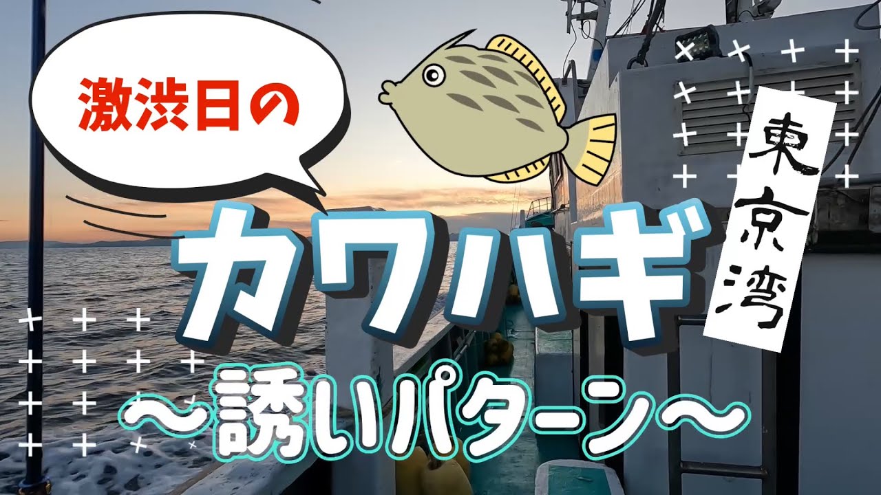 【カワハギ】激渋日の誘いパターン！！