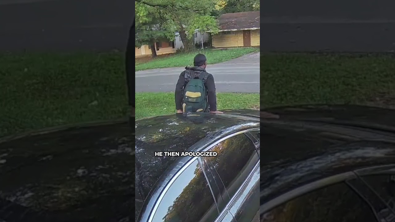 Man Jumps onto Car Roof to Escape Aggressive Shepherd