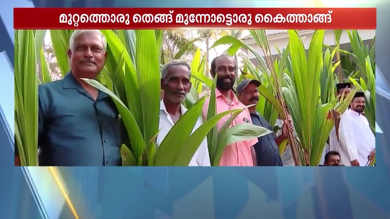 മുറ്റത്തൊരു തെങ്ങ് മുന്നോട്ടൊരു കൈത്താങ്ങ്; പള്ളിയിലെത്തിയവർക്കെല്ലാം ഓരോ തെങ്ങിൻ തൈ