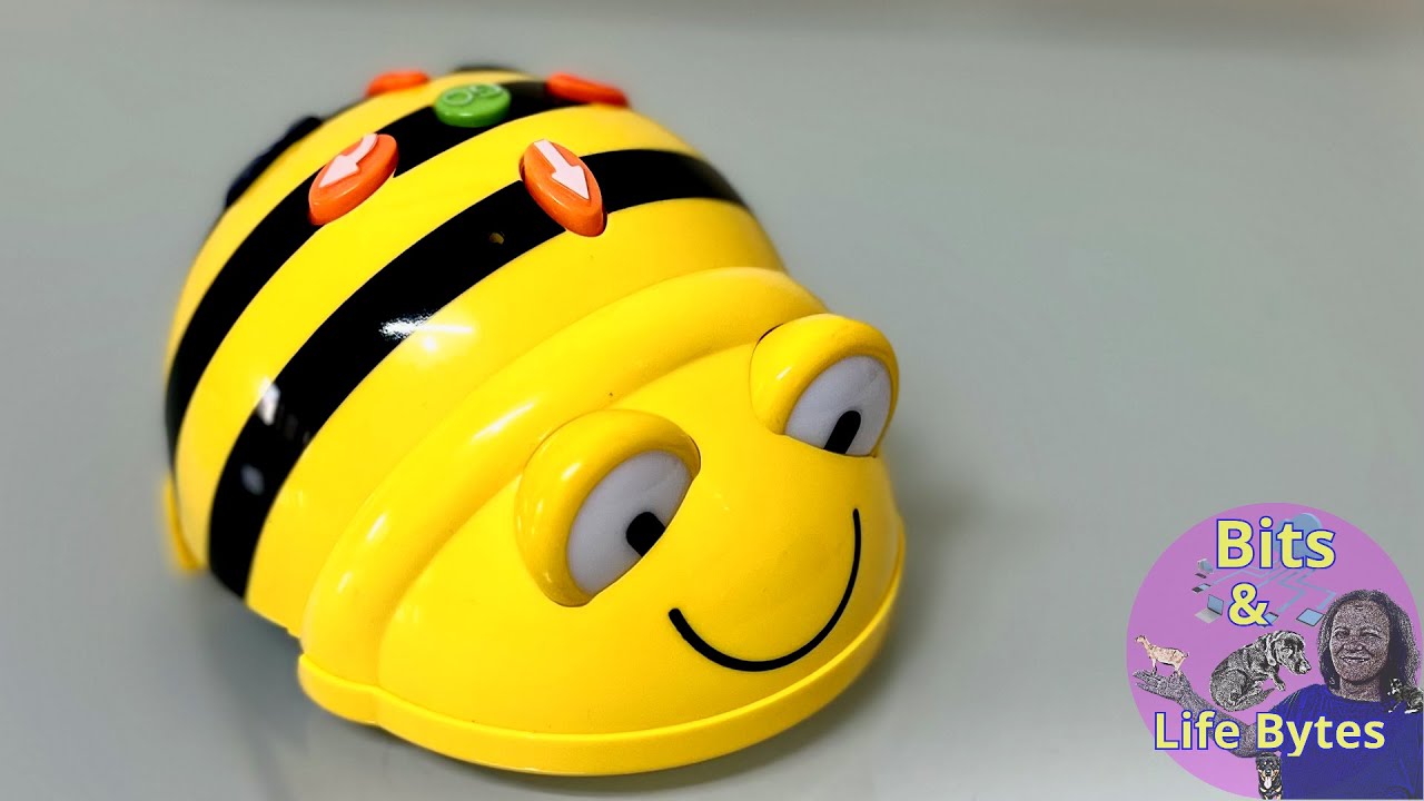 O que é o Bee-Bot e como utilizar este robô educacional