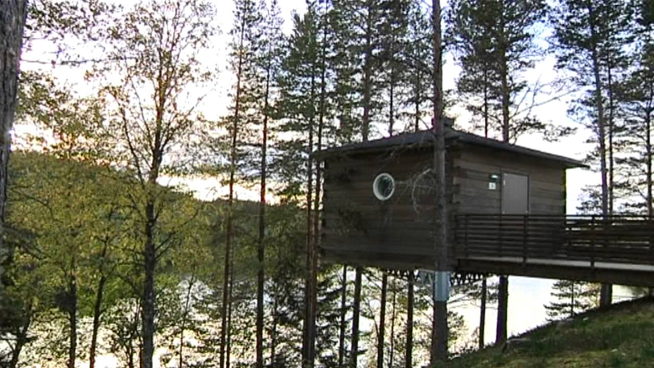 TV4 Vetenskap och Mistra: Mistra Arctic Futures