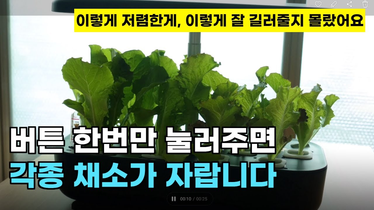 128.버튼 한번에 자동으로 식물길러주는 가성비 끝판왕 수경재배기입니다