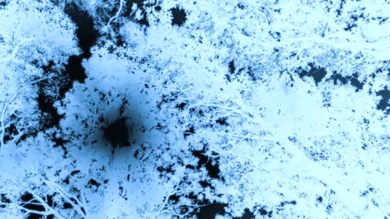 Trapped in the Void - New Leaf