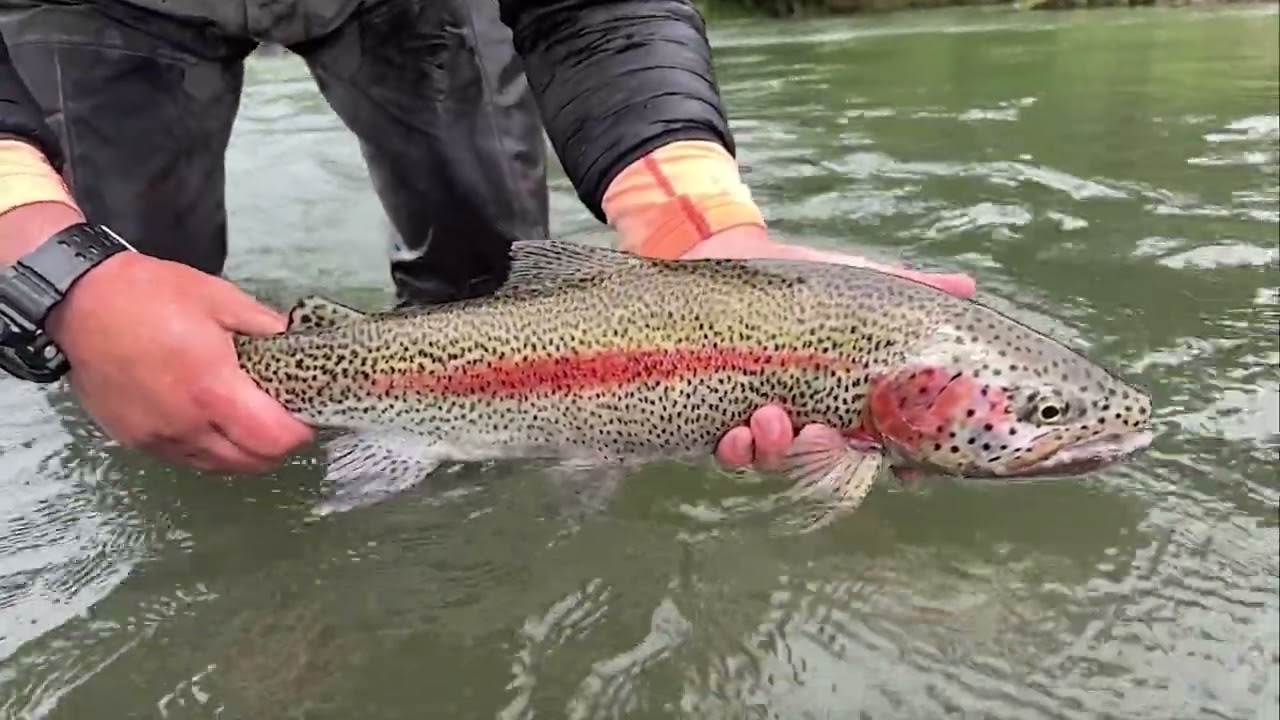 Aniak River Lodge 2023 - Alaska - Stillwater Travel