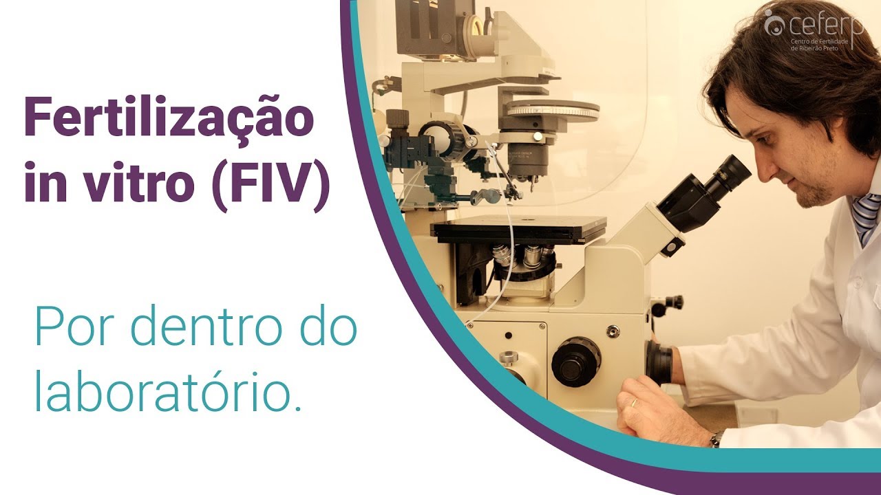 Técnicas da Fertilização in Vitro (FIV) | CEFERP