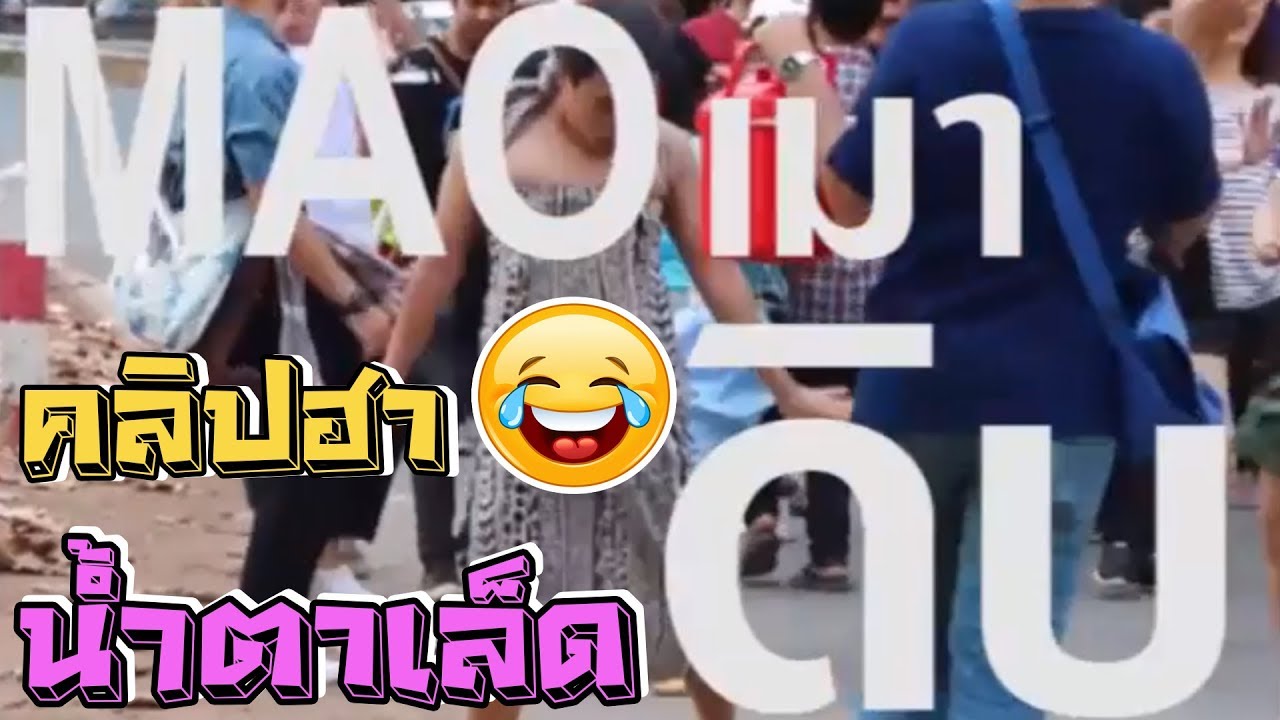 เมาดิบ - MAO DIB  Ver.เอิ๊ตตี้ น้องเอิตต้ี เอิตต้ี สระอีอยู่บนไม้โทจย้า