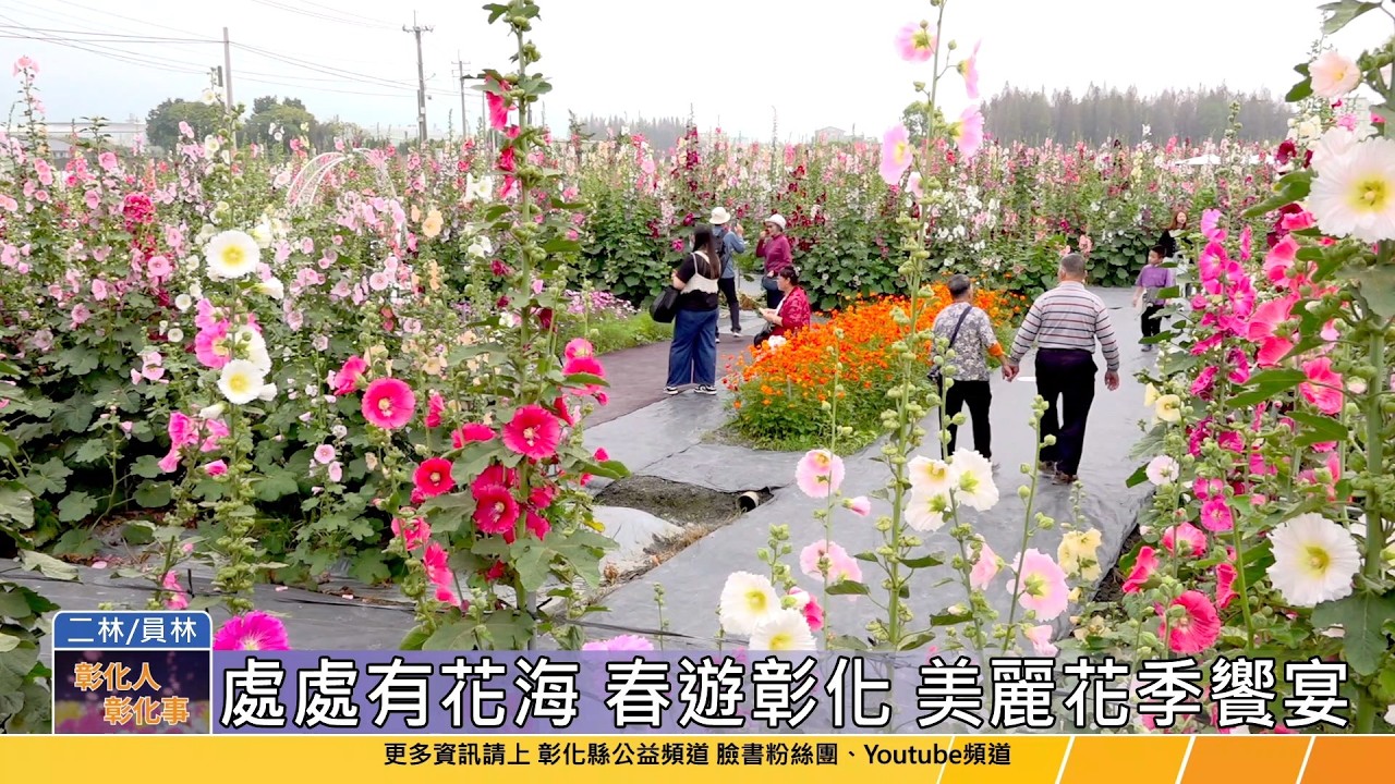 115-03-28 春遊彰化　萬紫千紅火熱綻放