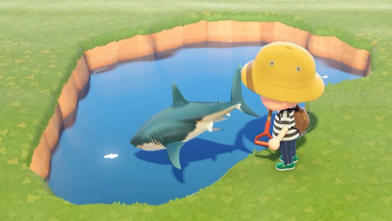 サメを池に捨てたらやばかった