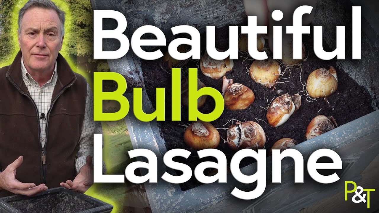 How to Plant a Beautiful Bulb 'Lasagne' to Create an Awesome Colourful Container - Pots & Trowels