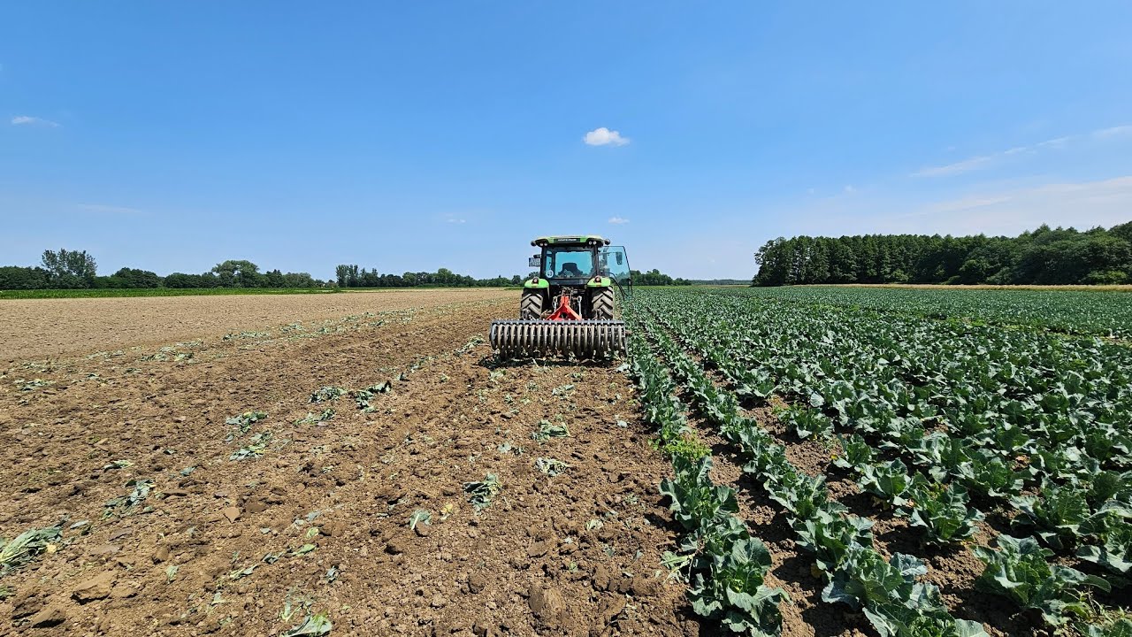 Agrovlog | Tanjuranje i malčiranje povrća. &Scaron;teta od - &euro;27 000