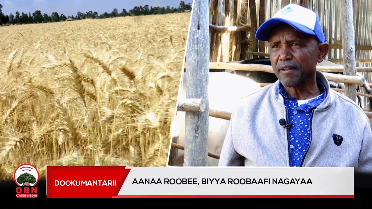Dookumantarii Aanaa Roobee || Biyya Roobaafi nagayaa