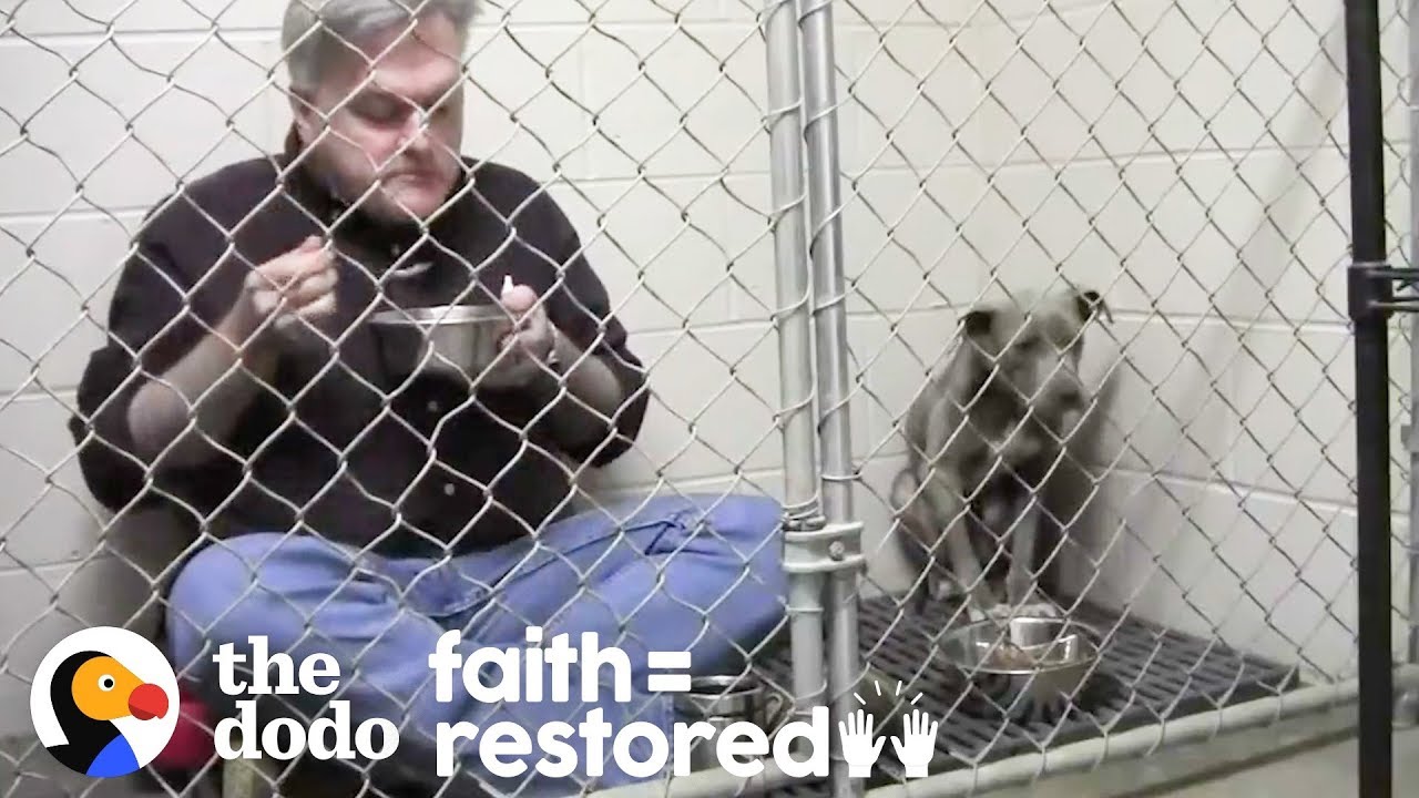 Vet Eats In Rescue Dog's Cage To Make Her Feel Safe | The Dodo Faith = Restored