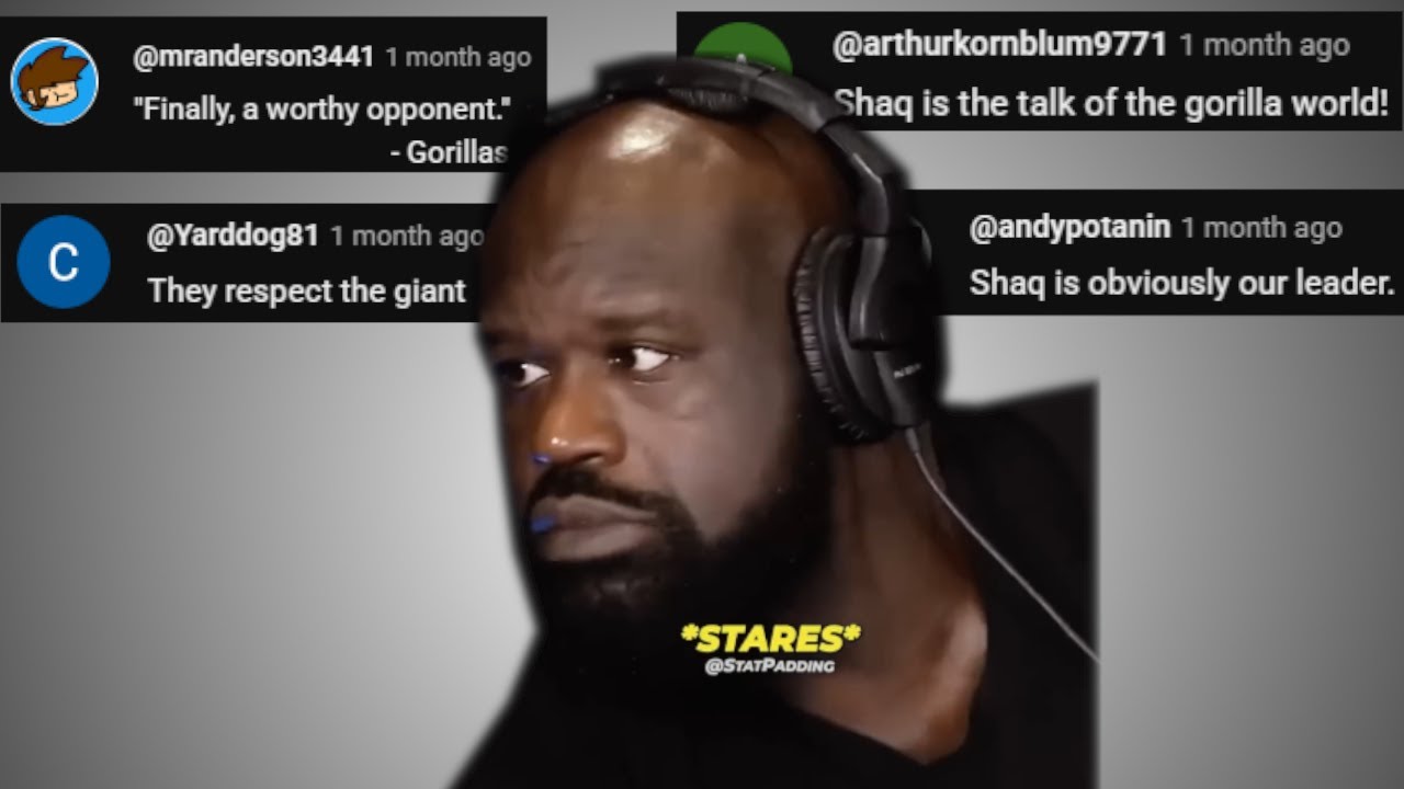 SHAQ vs GORILLA - Chat Music