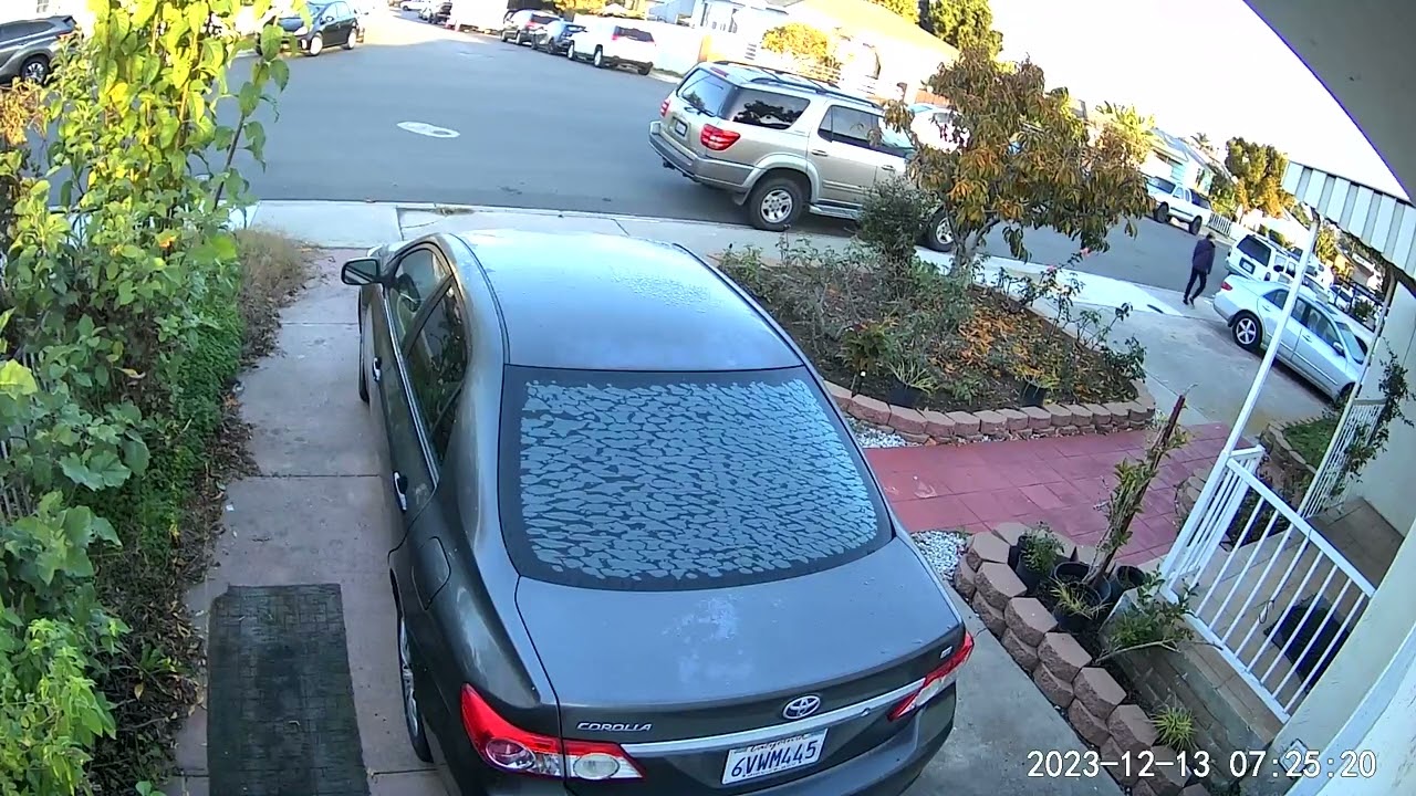 person lady striped shirt garage