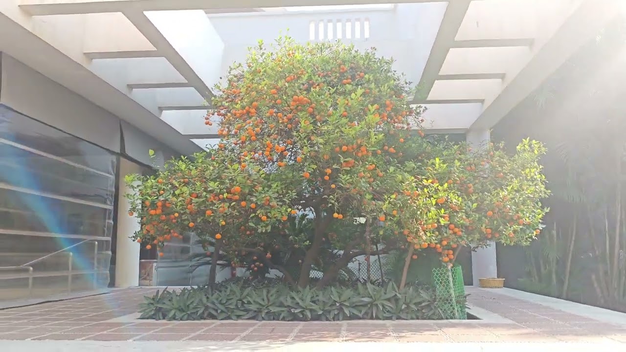 Pjp Ahmedabad event full location recce video